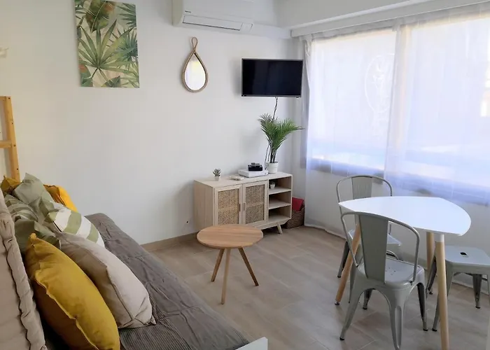 Deux Pièces Climatisé Avec Balcon Vieil